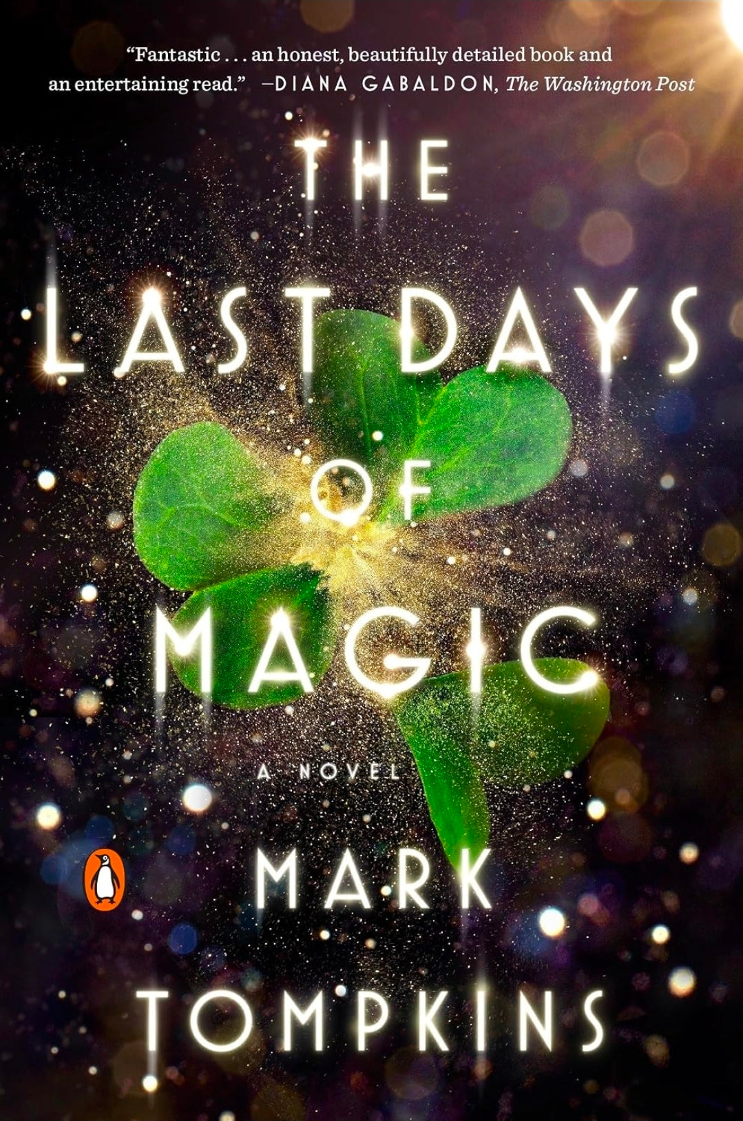 The Last Days of Magic: A Novel