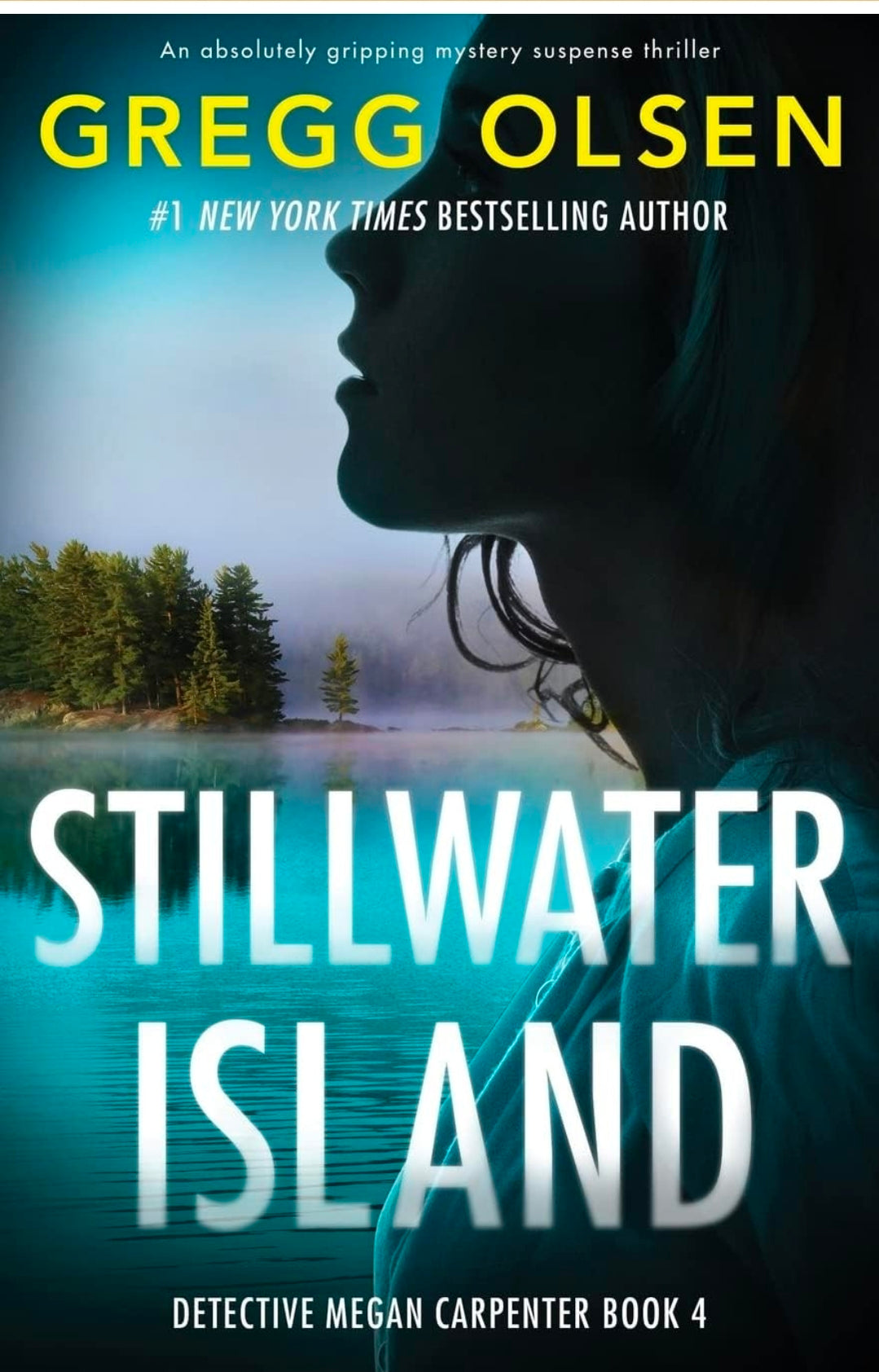 Stillwater Island:  (book 4 of 6 - Detective Megan Carpenter)