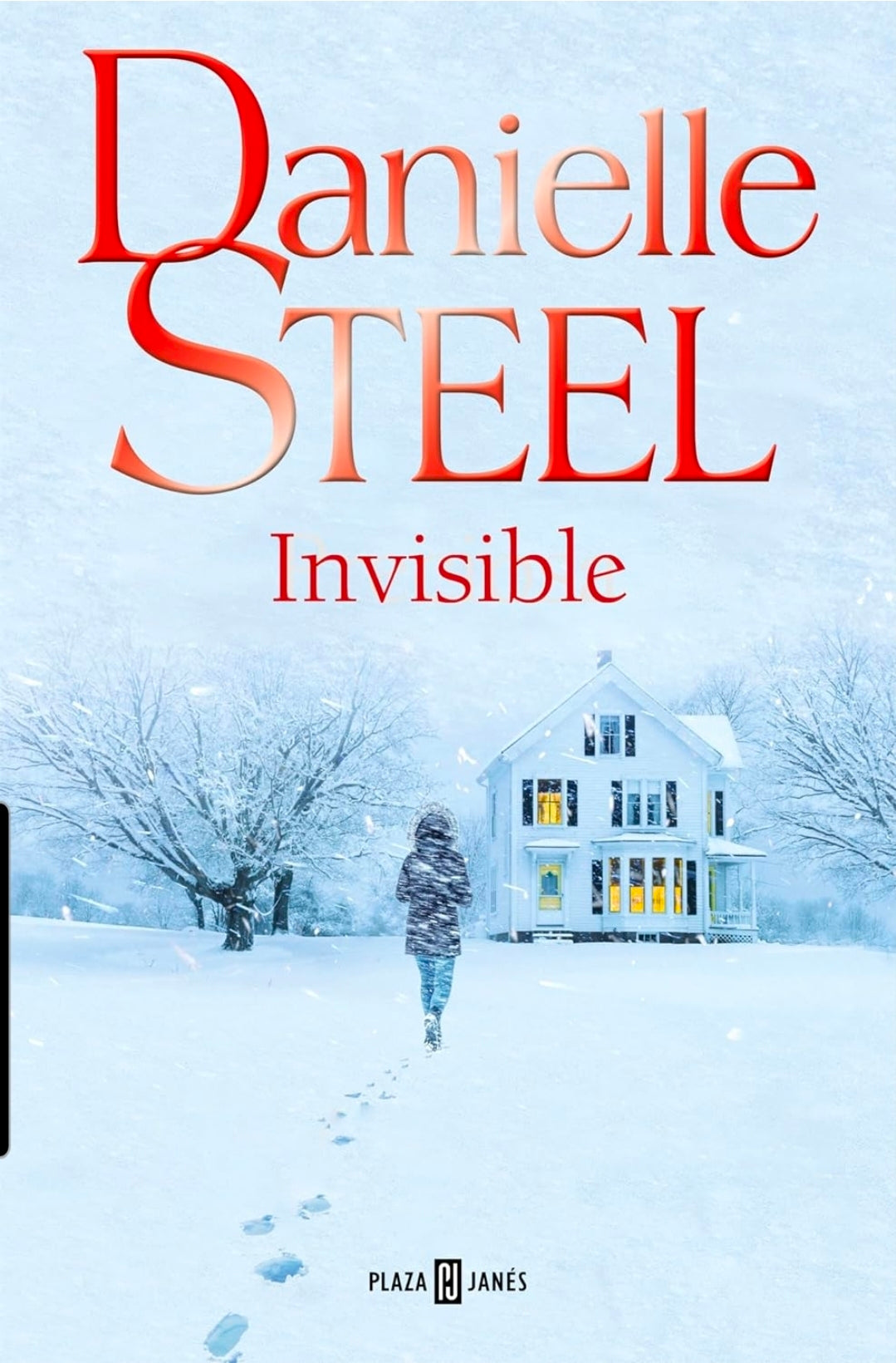 Invisible - Danielle Steel