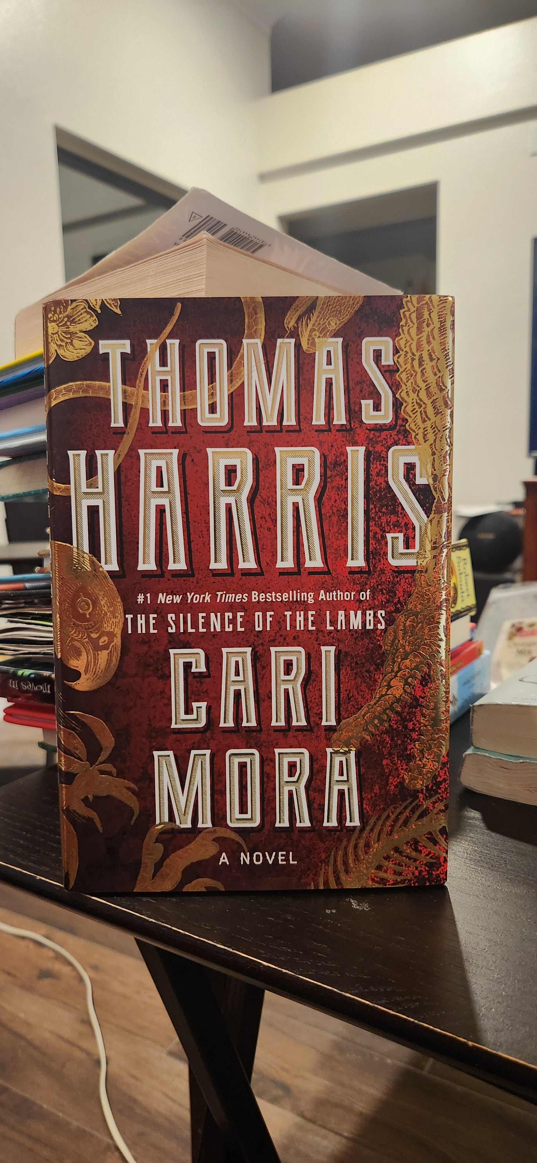 Cari Mora: A Novel