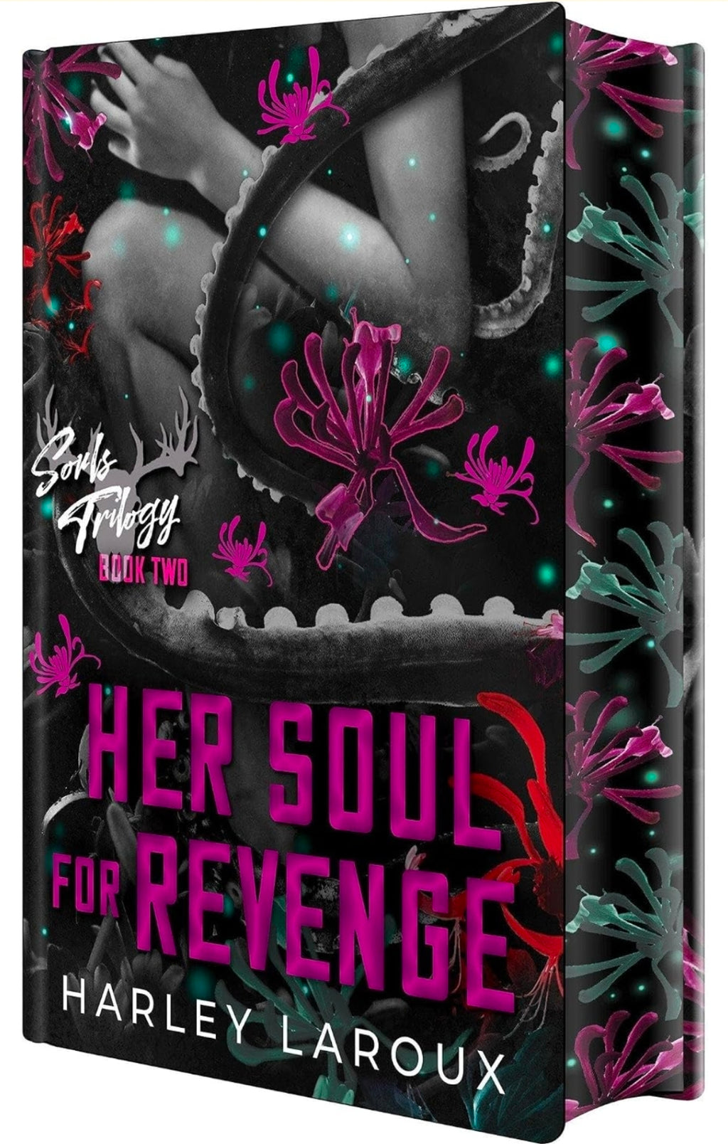 Her Soul for Revenge: Deluxe Special Edition (Souls Trilogy)book 2 of 3