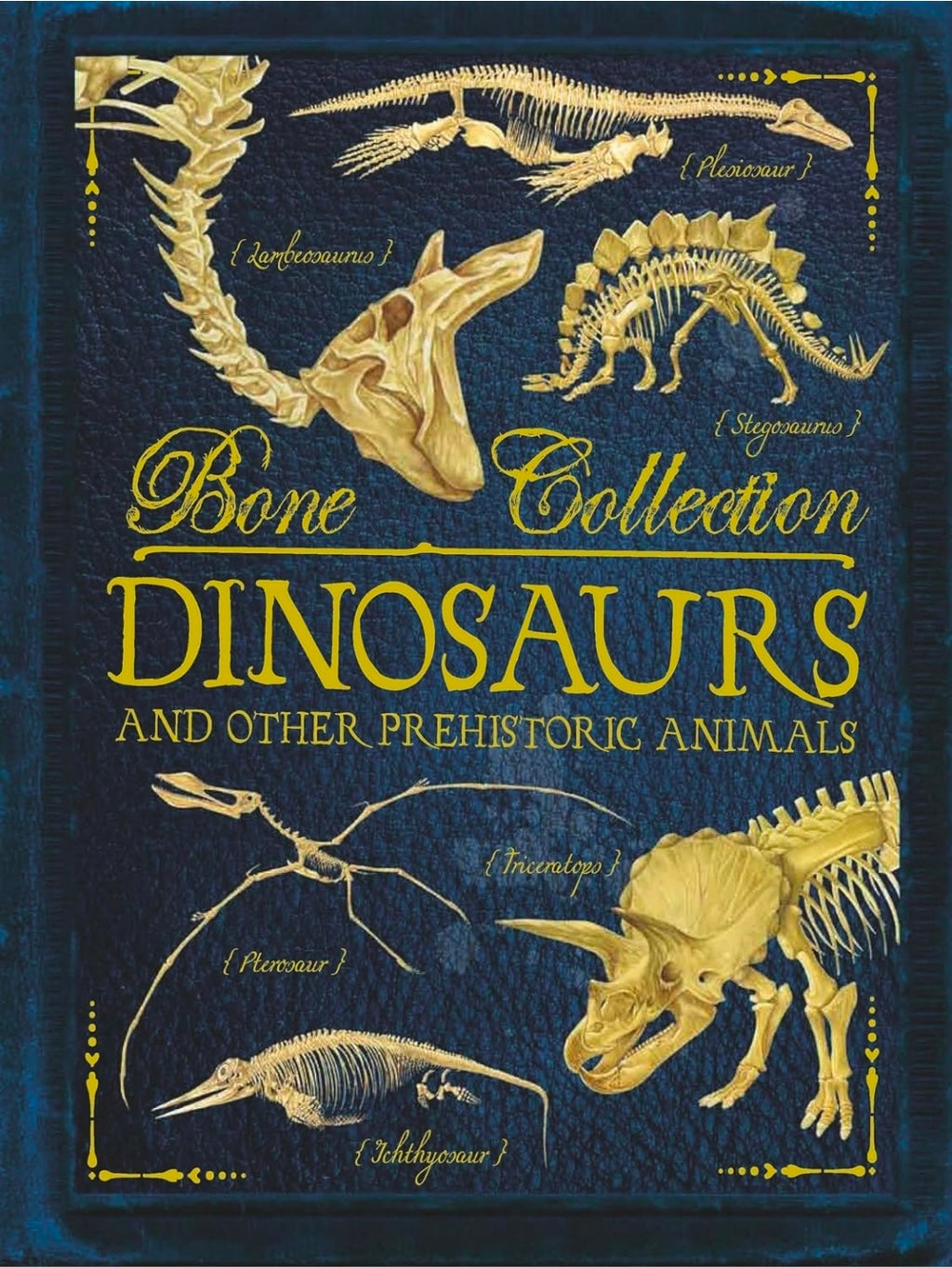 Bone Collection: Dinosaurs and Other Prehistoric Animals