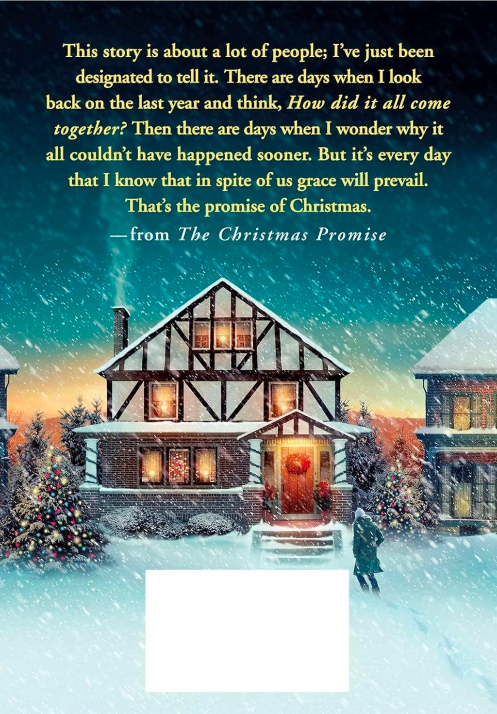 The Christmas Promise