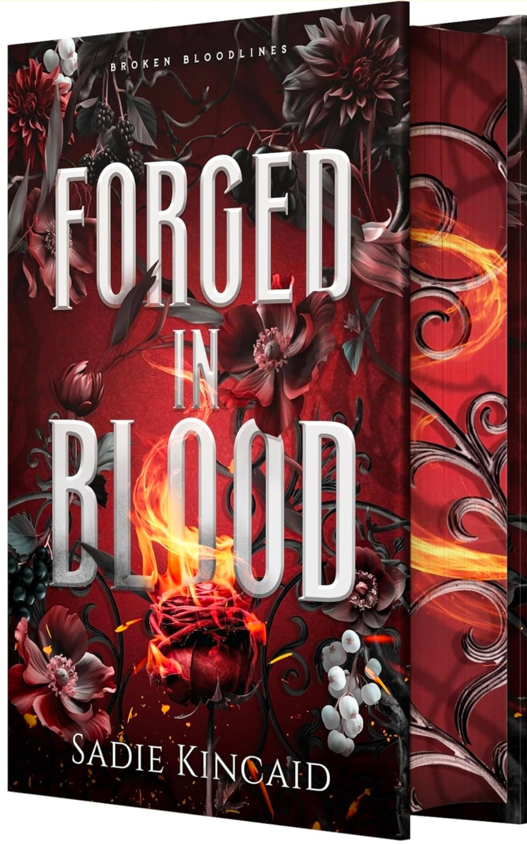 Forged in Blood (Broken Bloodlines, book 1 of 3)