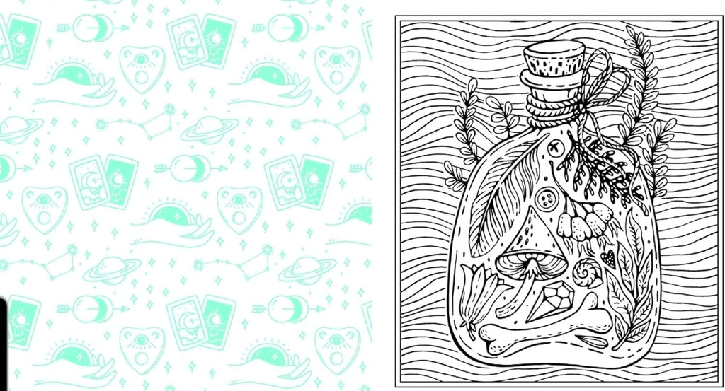The Witch Coloring Book: Color Your Way Through Spells and Potions (Creative Coloring)