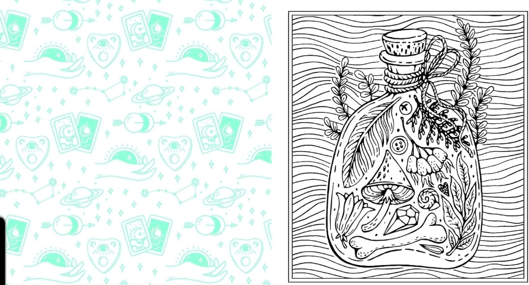 The Witch Coloring Book: Color Your Way Through Spells and Potions (Creative Coloring)